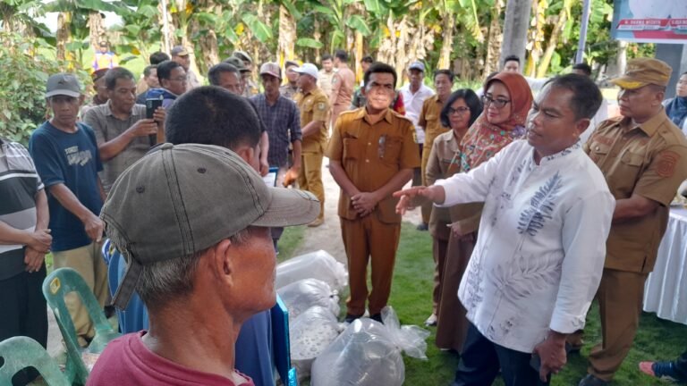 Bupati Sergai Serahkan Batuan Pada  8 Pokdakan